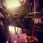 La Terrazza Βιτσέντζα