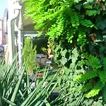 La Terrazza